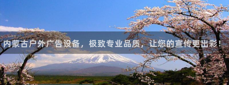 杏宇平台总代理电话：内蒙古户外广告设备，极致专业品质，让您的宣传更出彩！