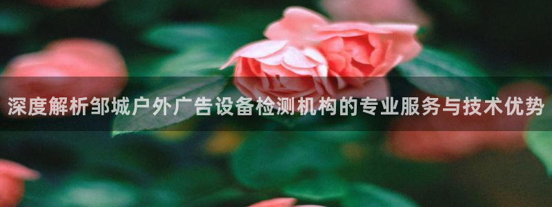 杏宇平台代理多少钱：深度解析邹城户外广告设备检测机构的专业服务与技术优势