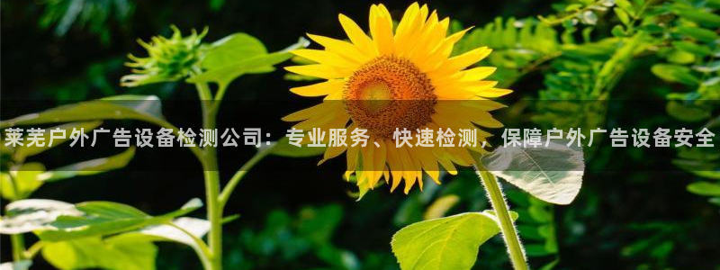 杏宇平台提现为什么这么久呢：莱芜户外广告设备检测公司：专业服务、快速检测，保障户外广告设备安全