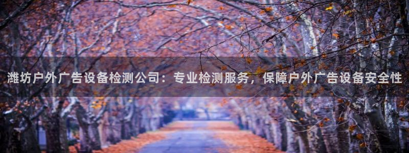 杏宇平台怎么样：潍坊户外广告设备检测公司：专业检测服务，保障户外广告设备安全性