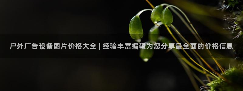 杏宇平台登录方法：户外广告设备图片价格大全 | 经验丰富编辑为您分享最全面的价格信息