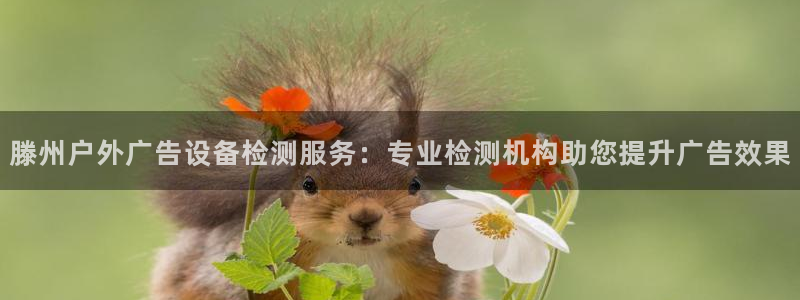 杏宇平台招商电话号码：滕州户外广告设备检测服务：专业检测机构助您提升广告效果