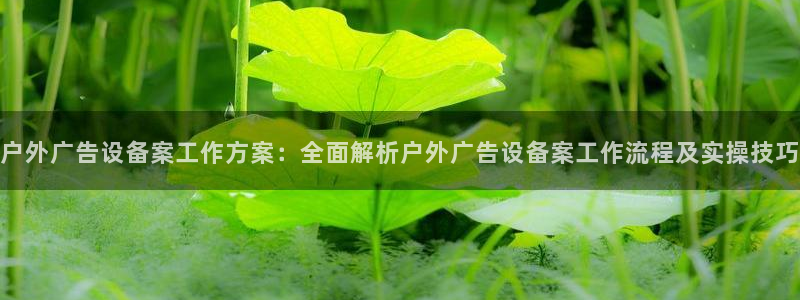 杏宇官方平台官网：户外广告设备案工作方案：全面解析户外广告设备案工作流程及实操技巧