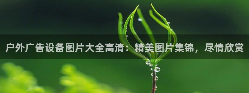 杏宇平台招商电话号码：户外广告设备图片大全高清：精美图片集锦，尽情欣赏
