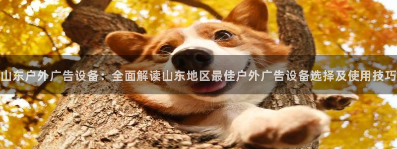 杏宇平台代理多少钱一个：山东户外广告设备：全面解读山东地区最佳户外广告设备选择及使用技巧