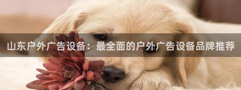 杏宇平台开户：山东户外广告设备：最全面的户外广告设备品牌推荐