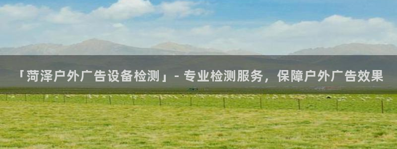 杏宇平台招商：「菏泽户外广告设备检测」- 专业检测服务，保障户外广告效果
