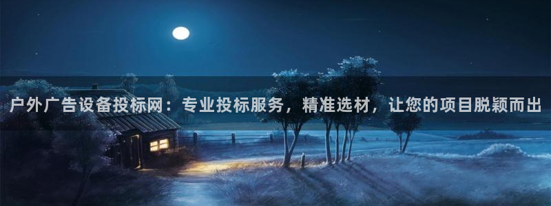 杏宇平台代理怎么赚钱快：户外广告设备投标网：专业投标服务，精准选材，让您的项目脱颖而出