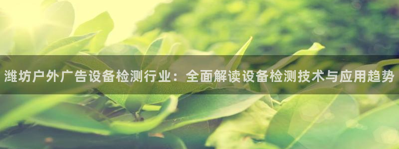杏宇平台代理怎么赚钱：潍坊户外广告设备检测行业：全面解读设备检测技术与应用趋势