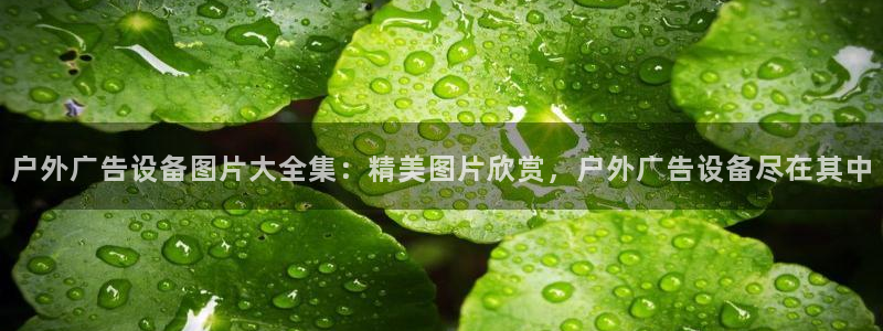 杏宇平台客服：户外广告设备图片大全集：精美图片欣赏，户外广告设备尽在其中
