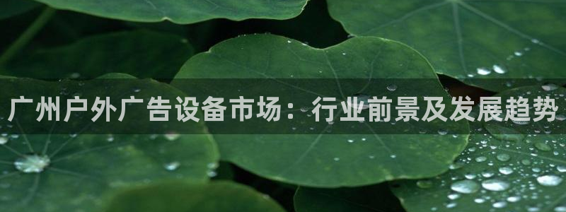 杏宇平台代理怎么赚钱快