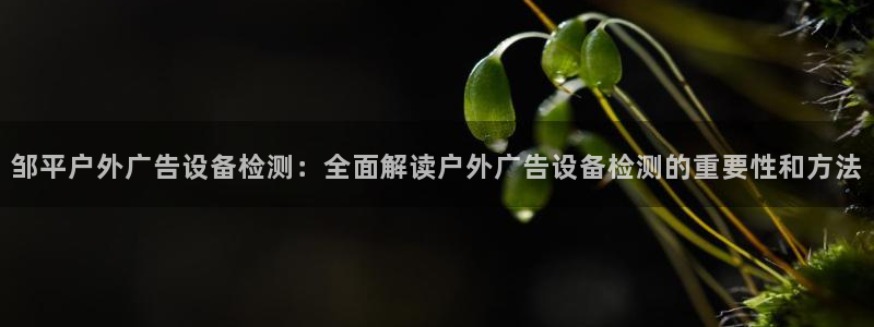 杏宇官方平台官网