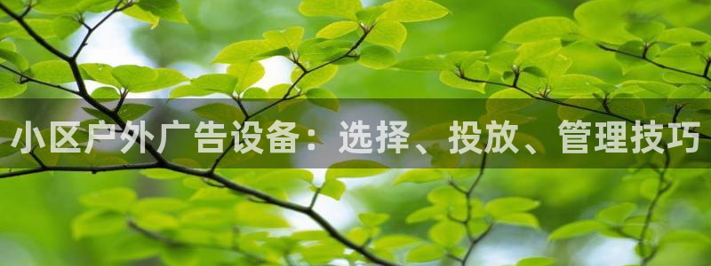 杏宇平台注册地址在哪里