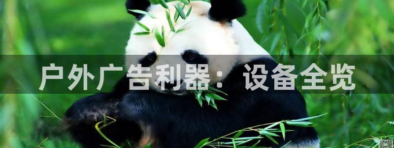 杏宇官方平台官网