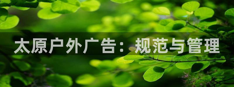 杏宇平台代理怎么样