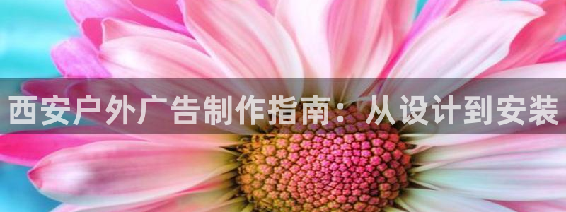 杏宇平台登陆