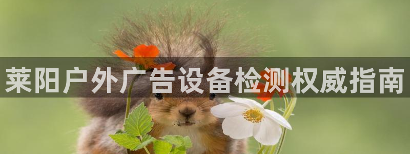 杏宇平台注册地址在哪里
