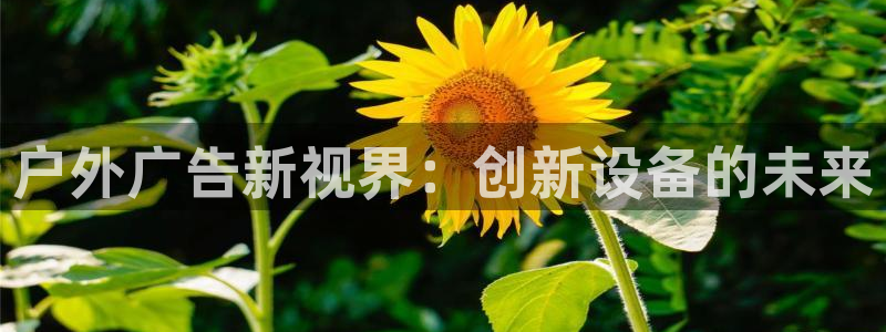 杏宇官方平台官网入口