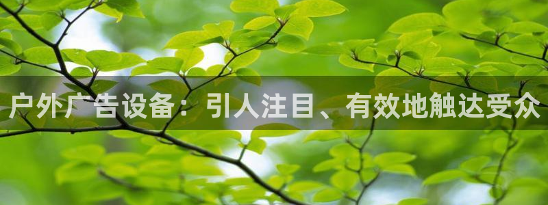 杏宇平台登录步骤图