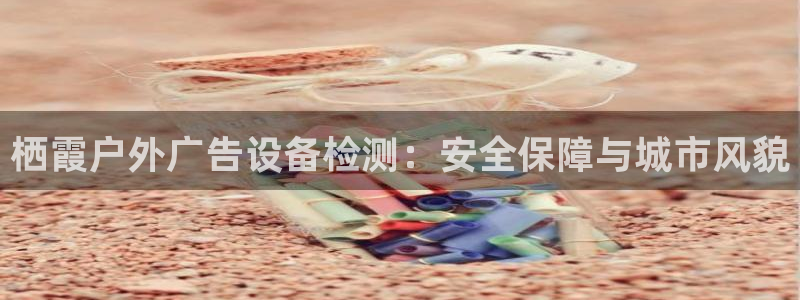 杏宇官方平台官网入口