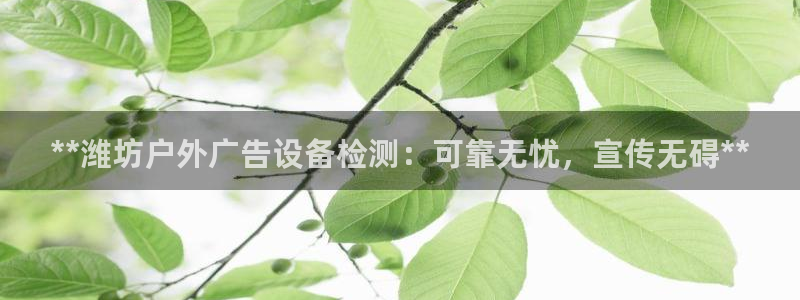 杏宇平台总代理是谁
