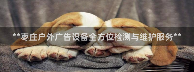 杏宇平台招商怎么样