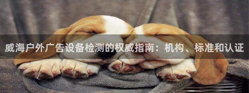 杏宇代理注册