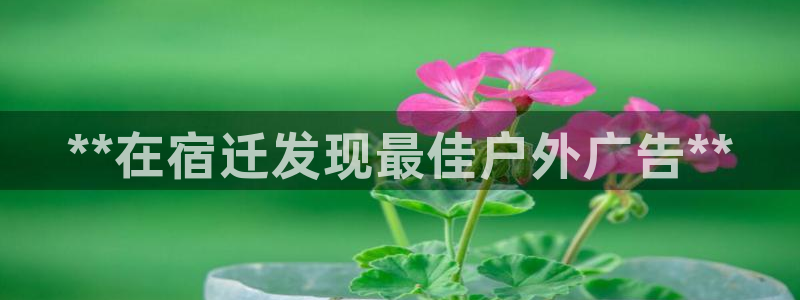 杏宇官方平台官网入口