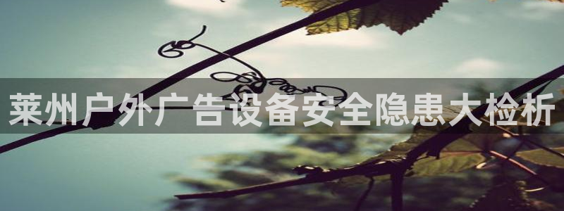 杏宇平台注册登录