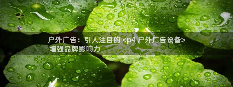 杏宇平台是什么