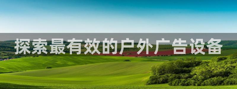 杏宇平台主管