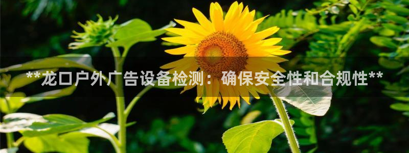 杏宇平台代理怎么样赚钱