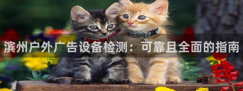 杏宇平台注册登录