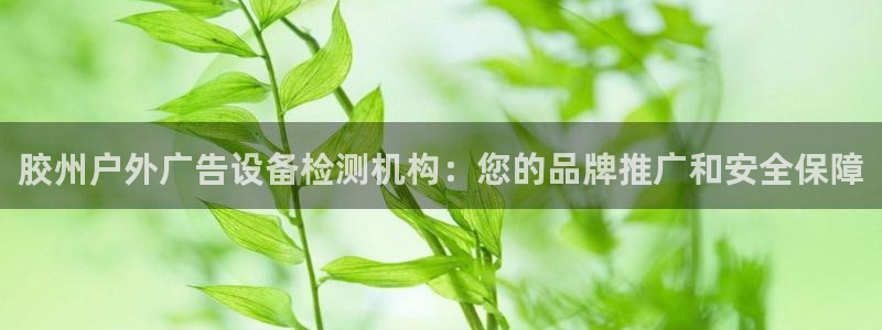 杏宇平台注册地址在哪里：胶州户外广告设备检测机构：您的品牌推广和安全保障