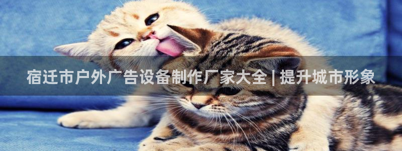 杏宇平台代理怎么样啊：宿迁市户外广告设备制作厂家大全 | 提升城市形象