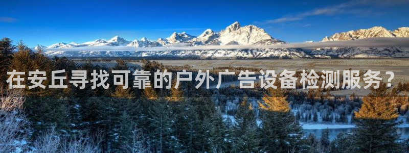 杏宇官方平台官网入口：在安丘寻找可靠的户外广告设备检测服务？
