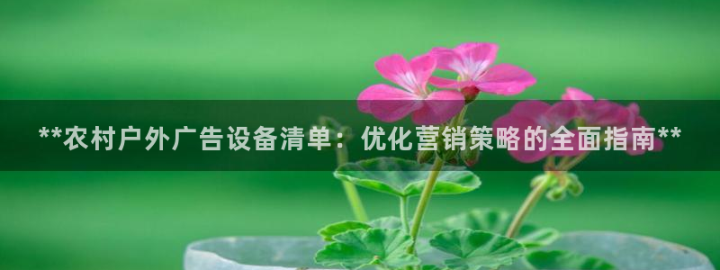 杏宇平台开户：**农村户外广告设备清单：优化营销策略的全面指南**