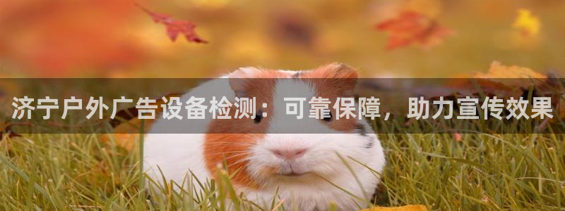 杏宇平台主管：济宁户外广告设备检测：可靠保障，助力宣传效果