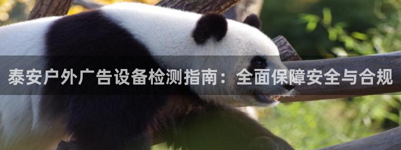 杏宇代理注册：泰安户外广告设备检测指南：全面保障安全与合规