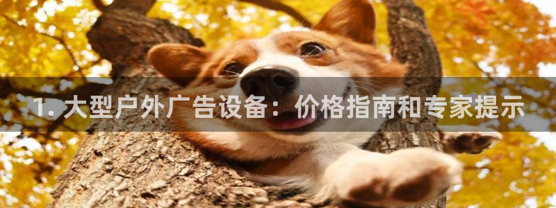 杏宇平台代理怎么样啊：1. 大型户外广告设备：价格指南和专家提示