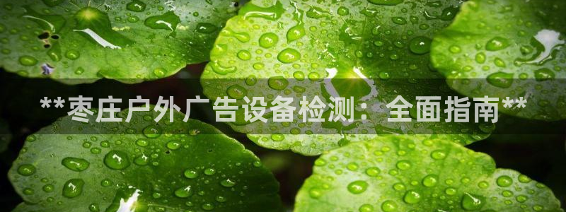 杏宇平台代理多少钱一次