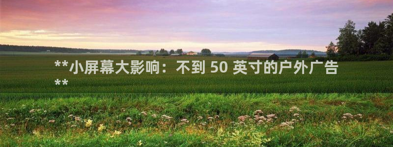 杏宇平台登录步骤是什么：**小屏幕大影响：不到 50 英寸的户外广告
**