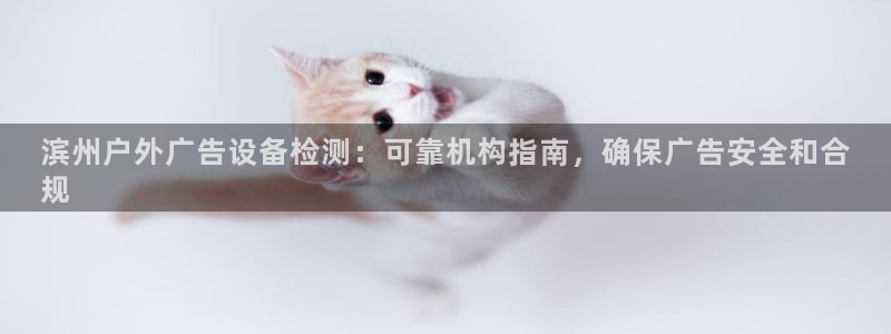 杏宇平台登录方法：滨州户外广告设备检测：可靠机构指南，确保广告安全和合
规
