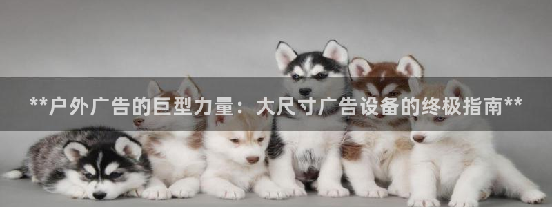 杏宇平台怎么样：**户外广告的巨型力量：大尺寸广告设备的终极指南**