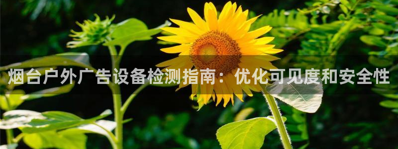 杏宇平台代理怎么样：烟台户外广告设备检测指南：优化可见度和安全性