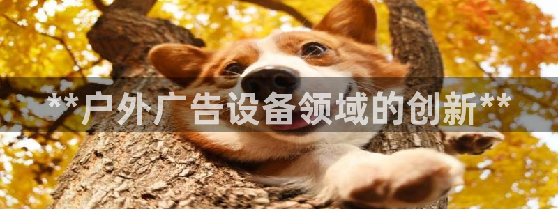 杏宇平台开户：**户外广告设备领域的创新**