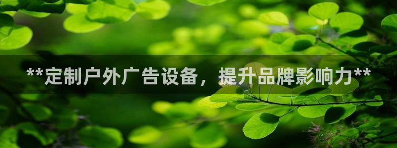 杏宇平台登录步骤：**定制户外广告设备，提升品牌影响力**