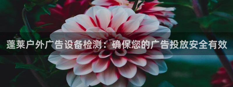 杏宇平台主管：蓬莱户外广告设备检测：确保您的广告投放安全有效