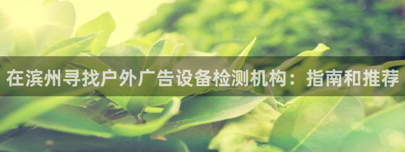 杏宇平台代理怎么赚钱的：在滨州寻找户外广告设备检测机构：指南和推荐
