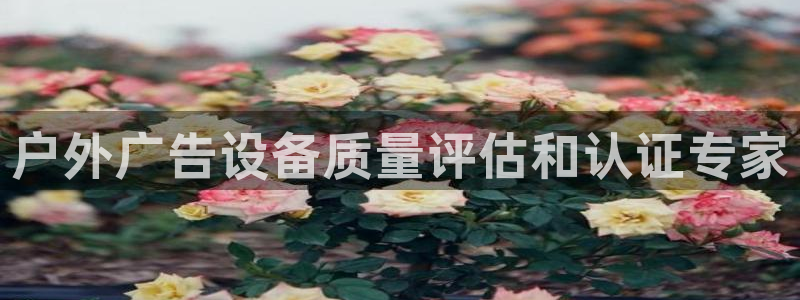 杏宇平台登陆：户外广告设备质量评估和认证专家